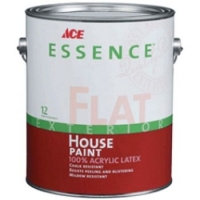 ACE Essense Flat Latex House Paint